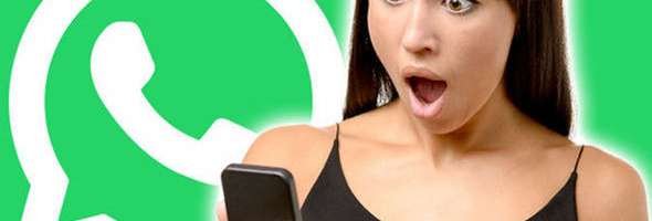 whatsapp esta offline
